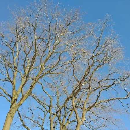 An Der Ostsee Holst *